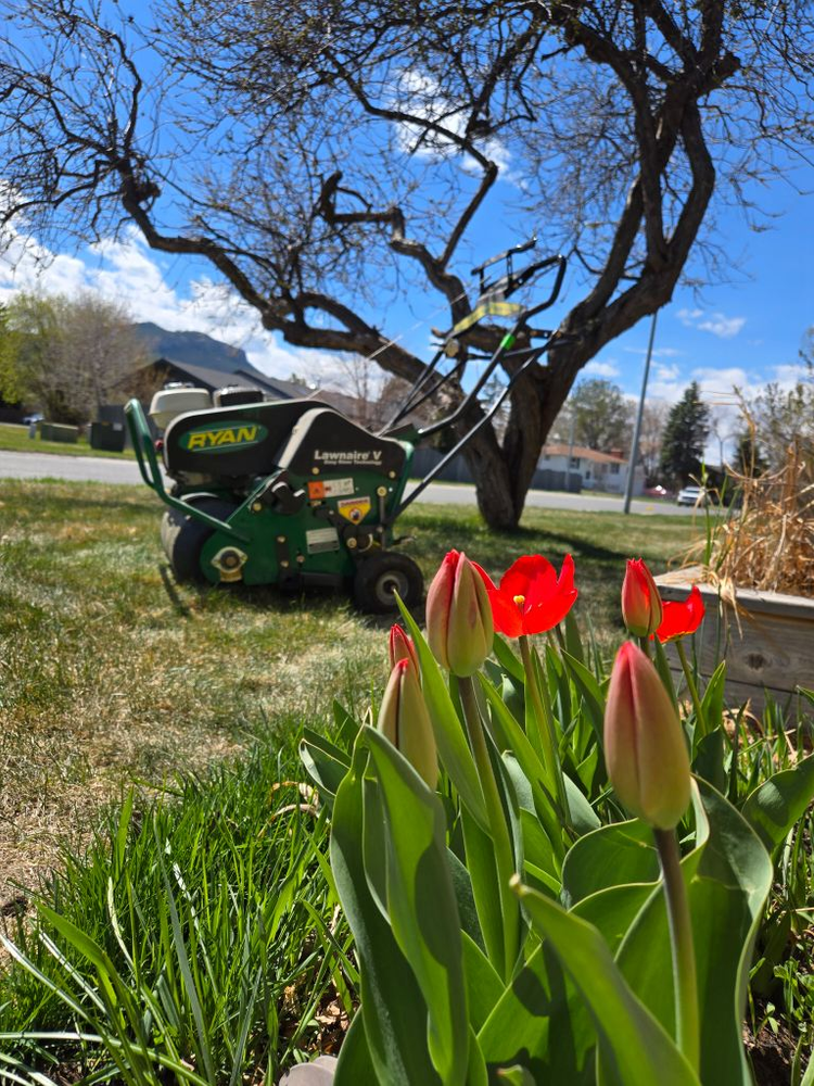 All Photos for Eagle Bay Lawn & Landscape LLC in Helena, MT