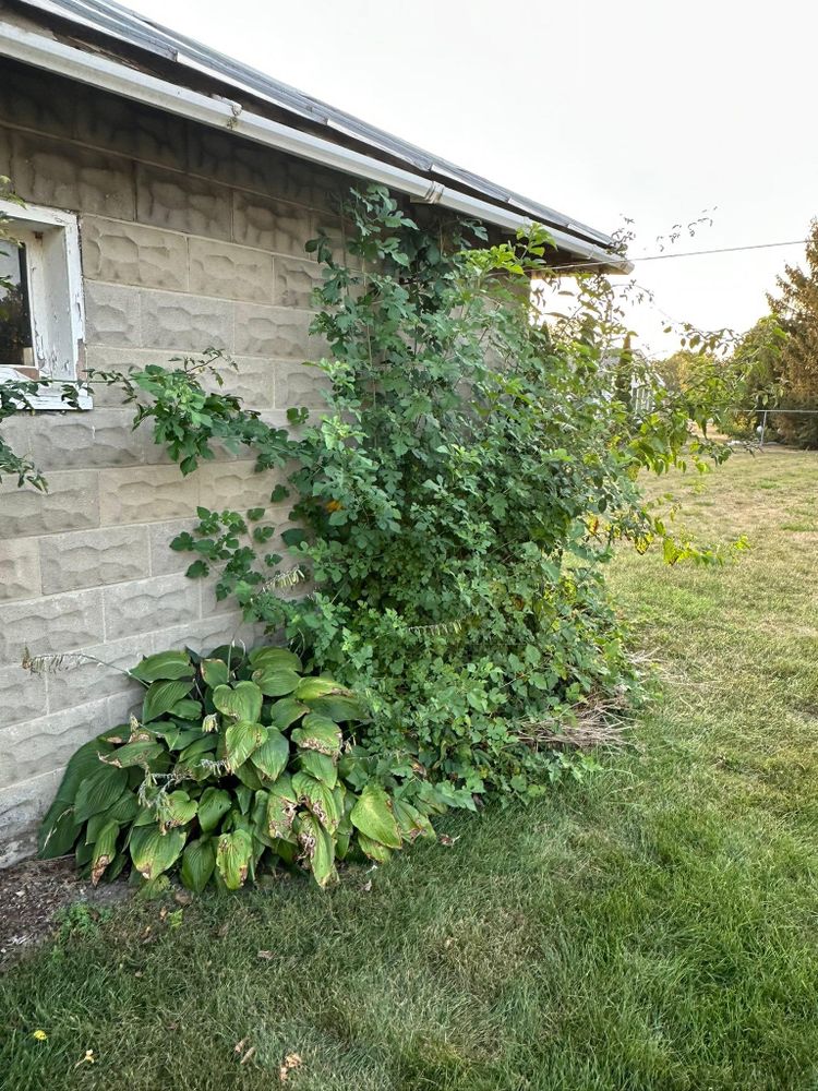 All Photos for OT Lawn and Landscaping LLC in Carey, OH