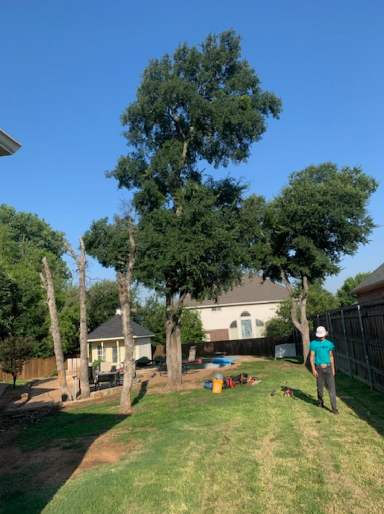 All Photos for Teague Trees and Land Clearing in Rendon, TX