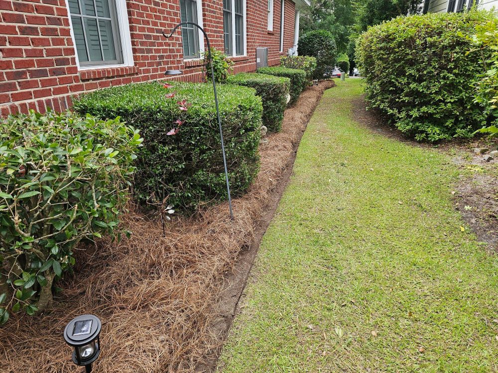 All Photos for 1 Man Does It Lawn Service in Blythewood, SC