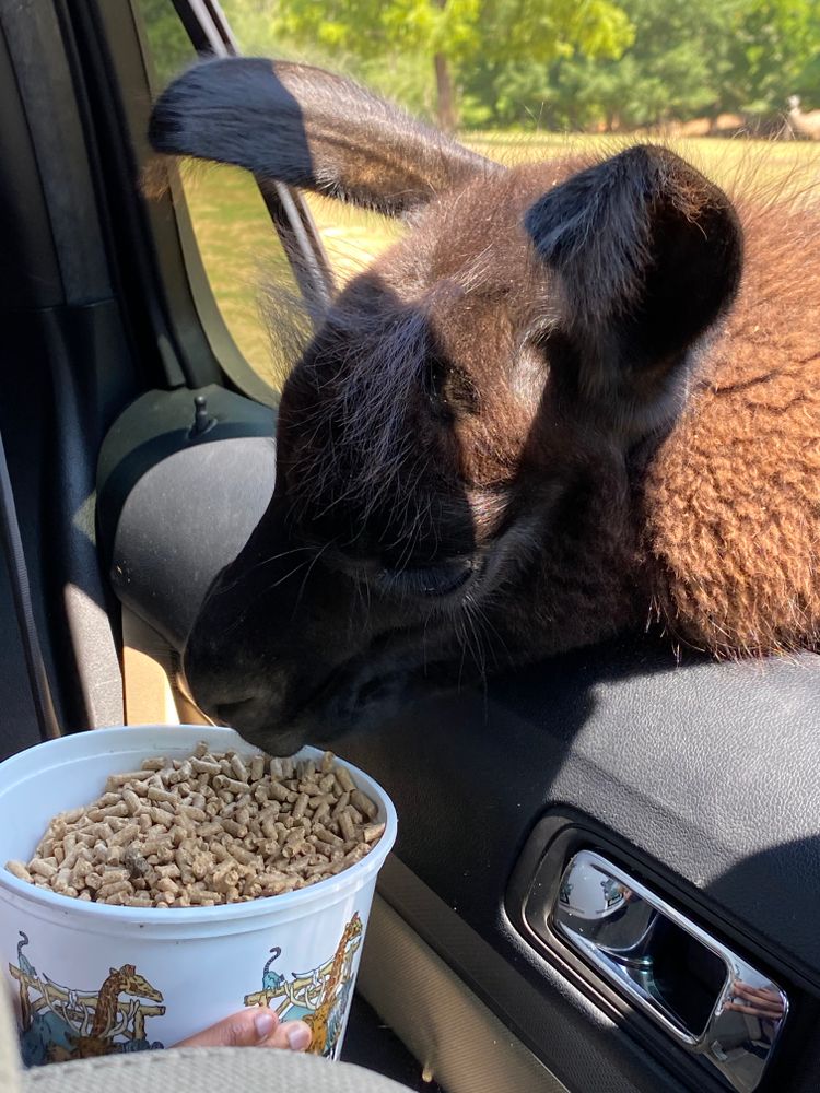 All Photos for Cleaning Carolina’s LLC in Greensboro, NC