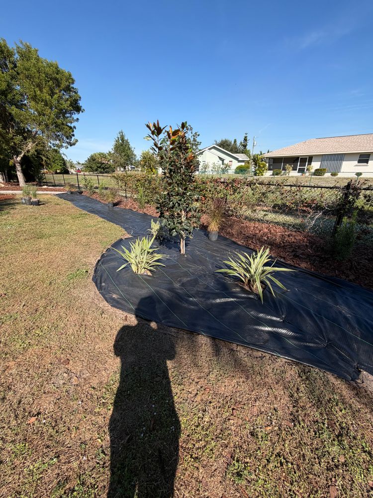 All Photos for Rize N’ Grind  in Punta Gorda, FL