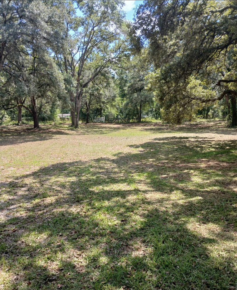 All Photos for Aztec Land Destroyers LLC in Ocala, FL
