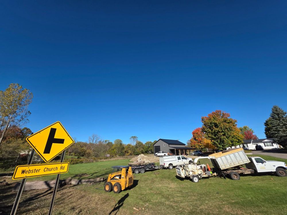 All Photos for D Hale Tree Service in Ann Arbor, MI