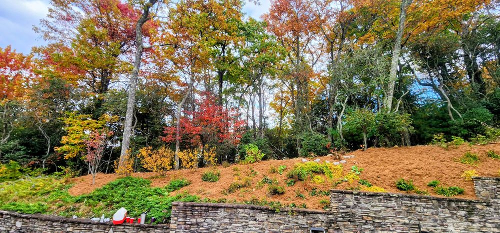 Mulch for C4 TrueVision Renovations in Asheville, NC