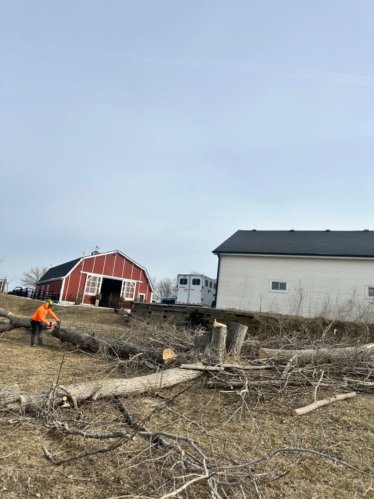 All Photos for Cross Family Tree Service in Kearney, MO