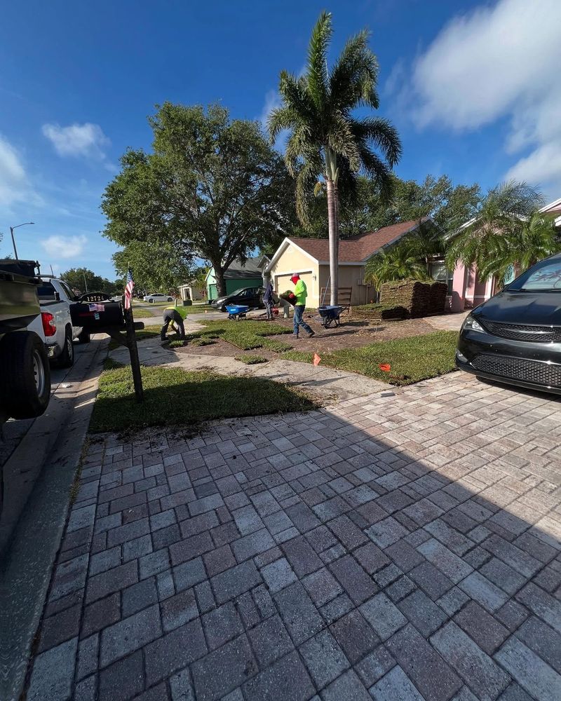 Fall Clean Up for AGT Landscape & Design LLC. in Saint Petersburg, FL