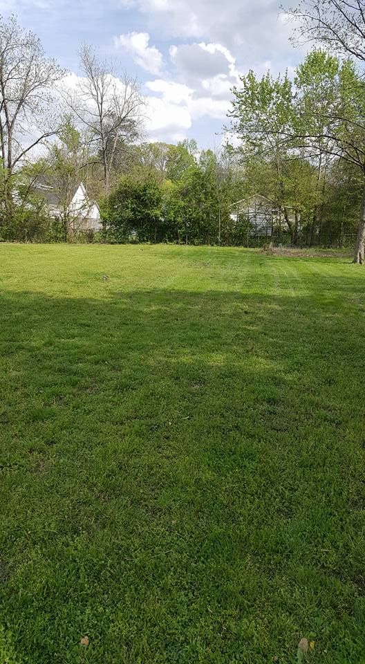 All Photos for Ordered Steps Landscaping in Rossville, GA