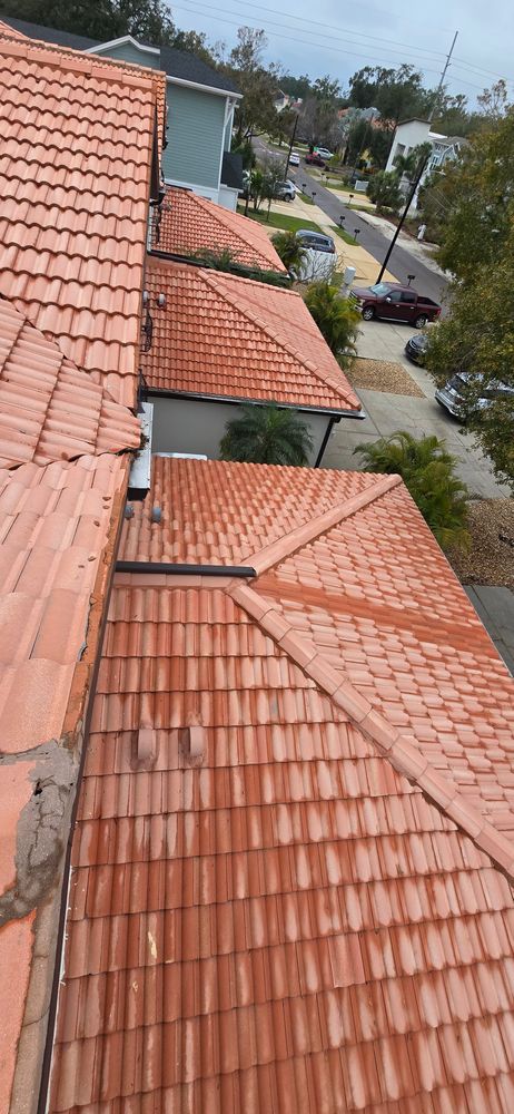 All Photos for Blue Stream Roof Cleaning & Pressure Washing in Tampa, FL
