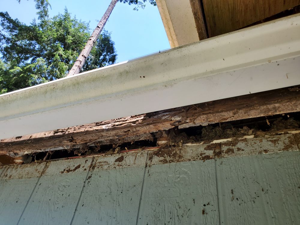 All Photos for Home Pros in Maple Falls, WA