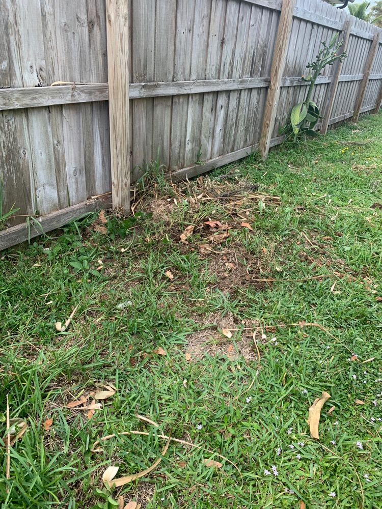 All Photos for Space Coast Property Maintenance and Management LLC in Melbourne, FL