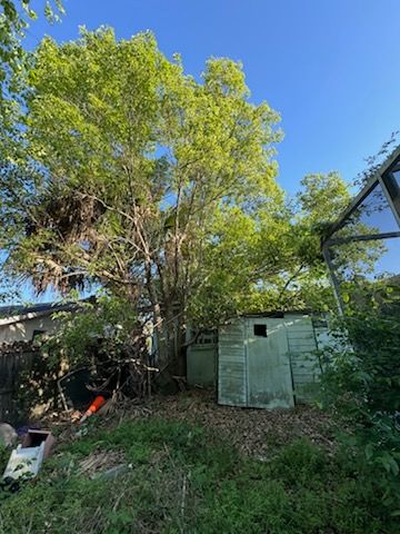 All Photos for Elevation Tree Service in Holiday, FL