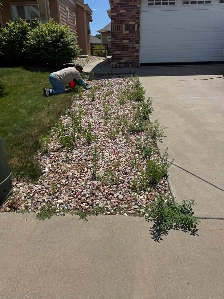 All Photos for Rock Masters Inc. in Evans, CO