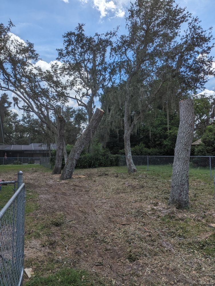 All Photos for Regal Tree Service and Stump Grinding in Wauchula, FL