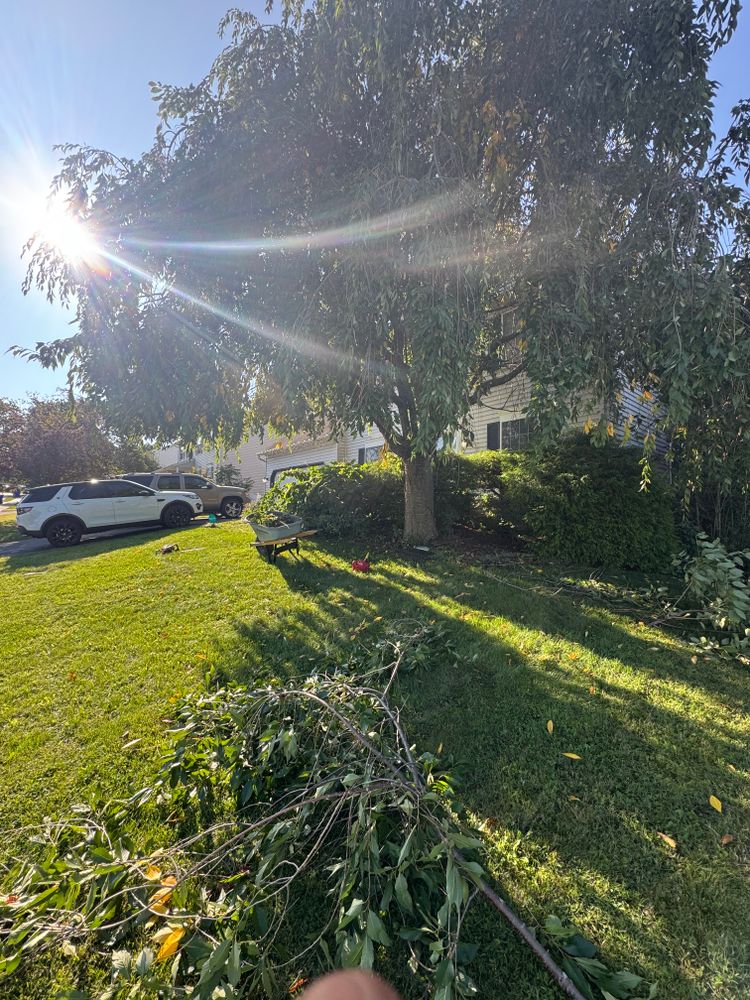 All Photos for Landscape & Lawn Care Pros in Temple, PA