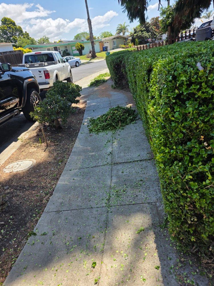 Landscaping for CBA Landscaping in Hayward, CA