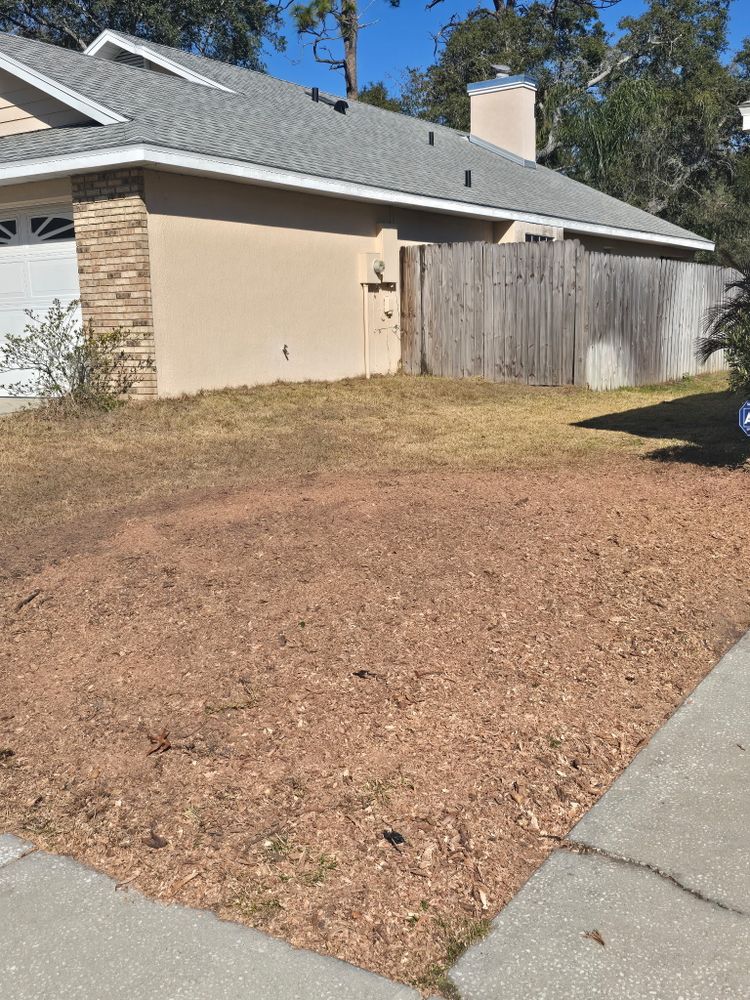 All Photos for Amerigrown Tree And Lawn in Apopka, FL