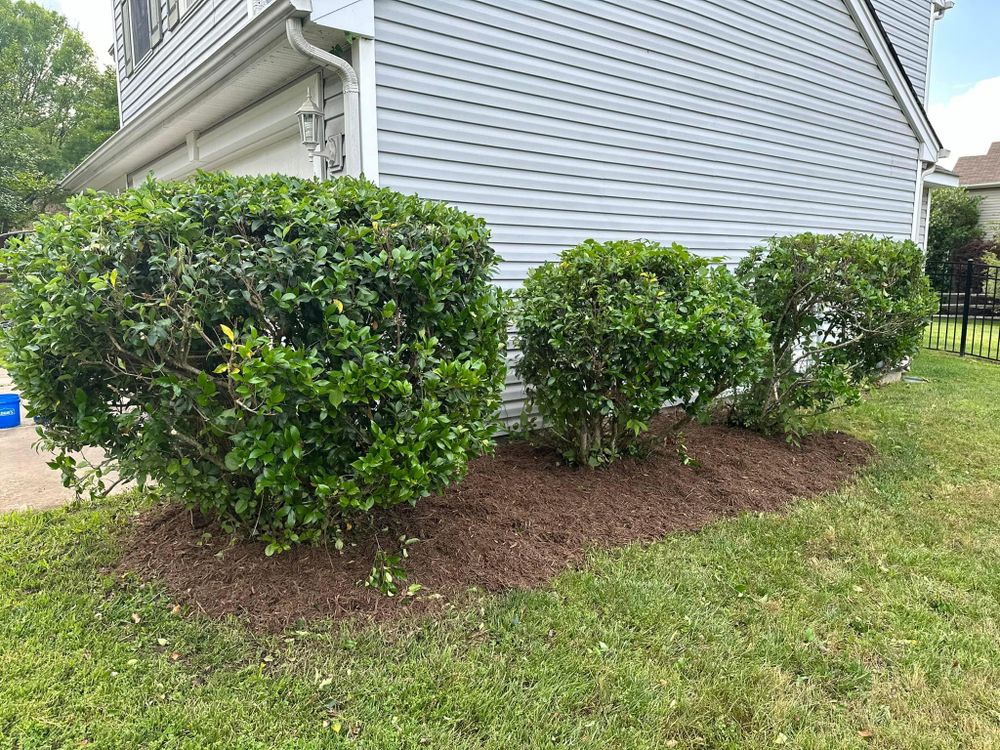 All Photos for Cisco Kid Landscaping Inc. in Lincolnton, NC