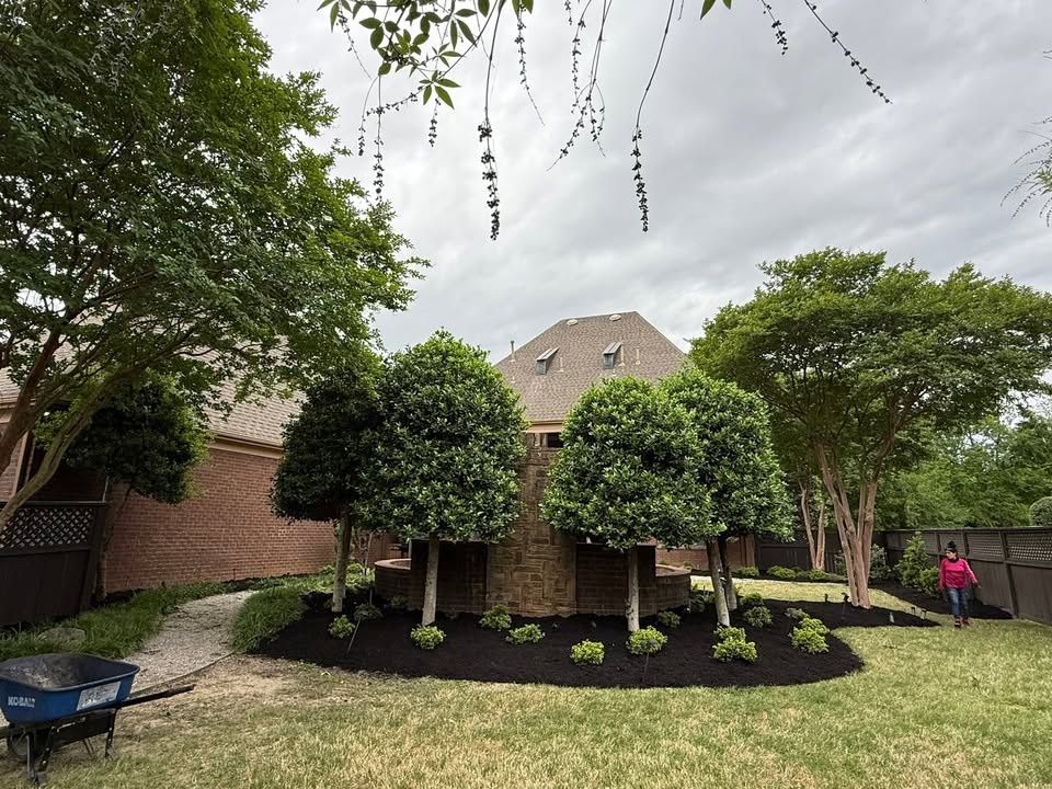All Photos for Sanchez Z. Landscaping in Memphis, TN