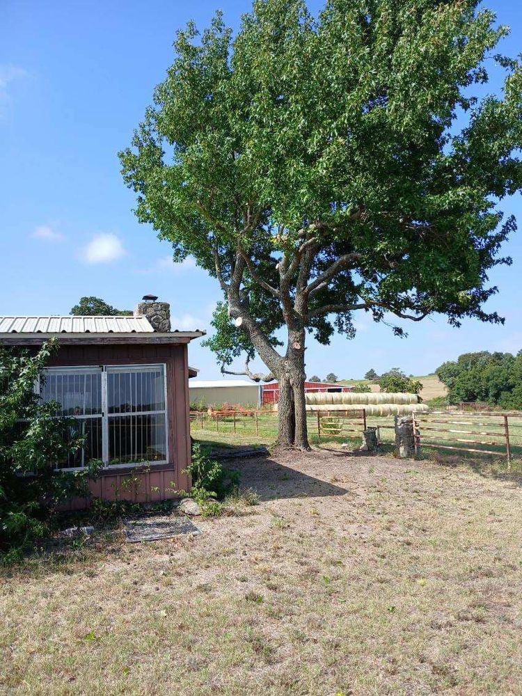 Tree Removal for Marks Tree Service in Fort Worth, TX