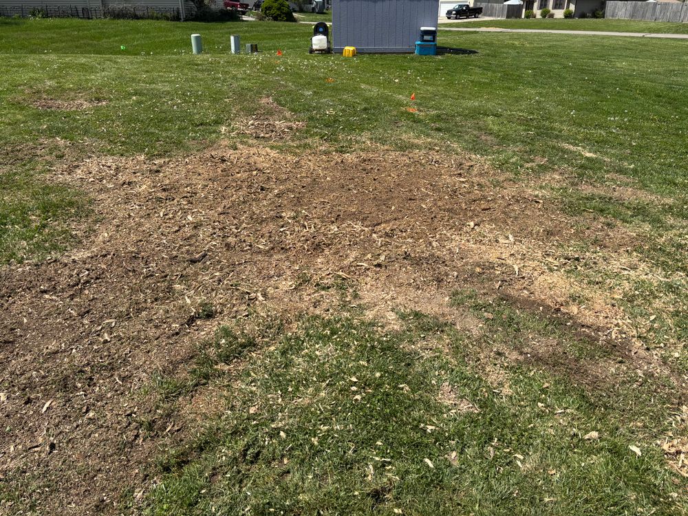 All Photos for Conrad's Stump Removal in Columbus, IN