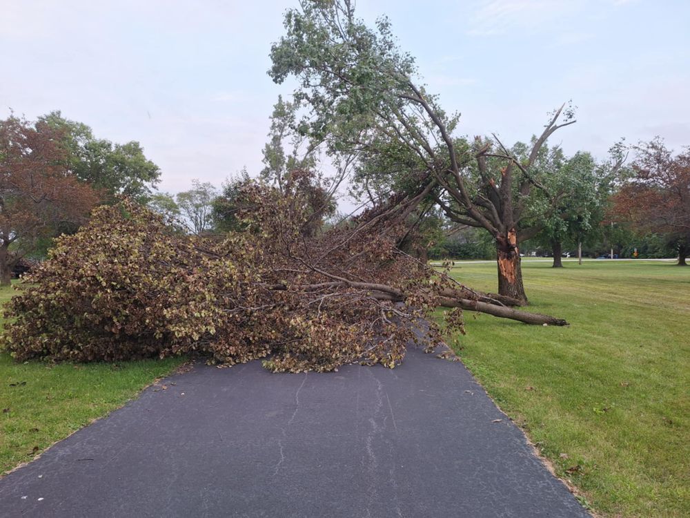 Emergency Storm Work for Highborn Tree Service in Wheatfield, IN