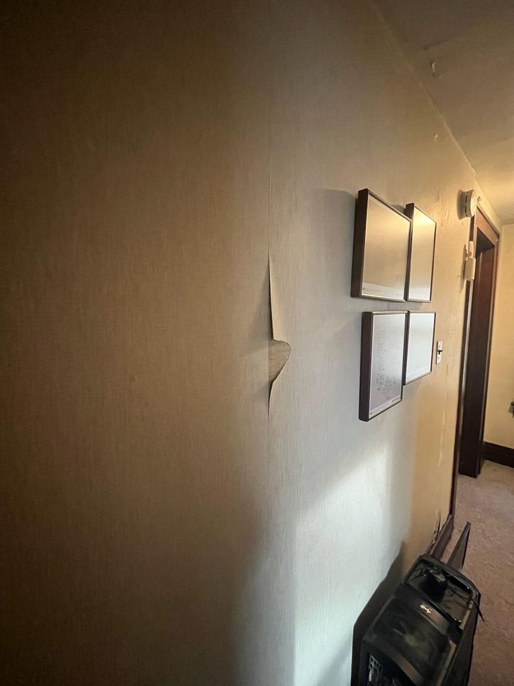 All Photos for  C&M Painting Finishing in Rochester, NY