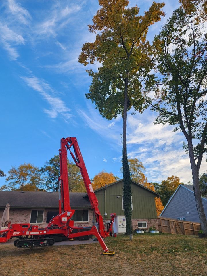 Tree Trimming and Removal for F & F Tree Service in Beavercreek, OH
