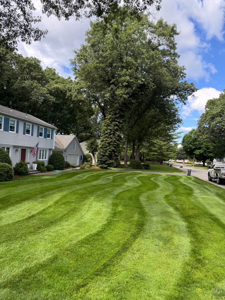 All Photos for Adams Landscaping in Springfield, MA