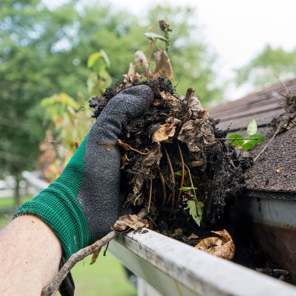 All Photos for Tiptop Maintenance LLC in Florham Park, NJ