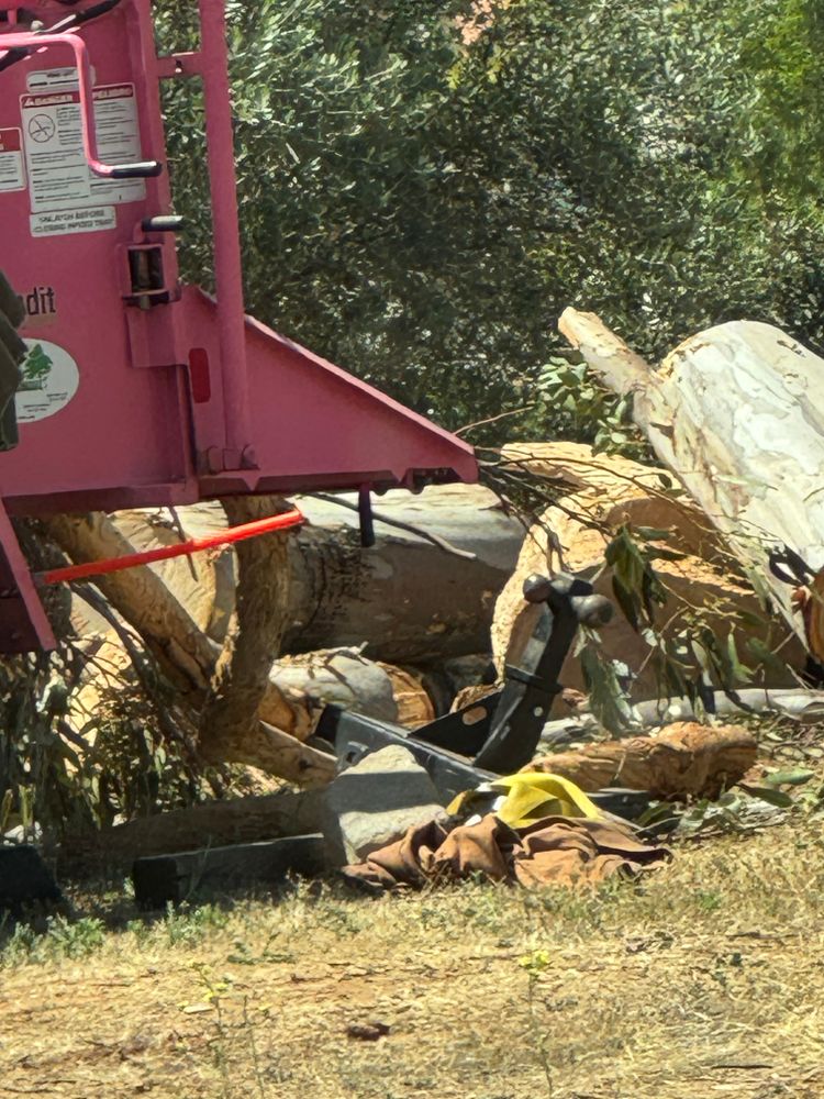 Tree Services for The Tree Fairy in Julian, CA