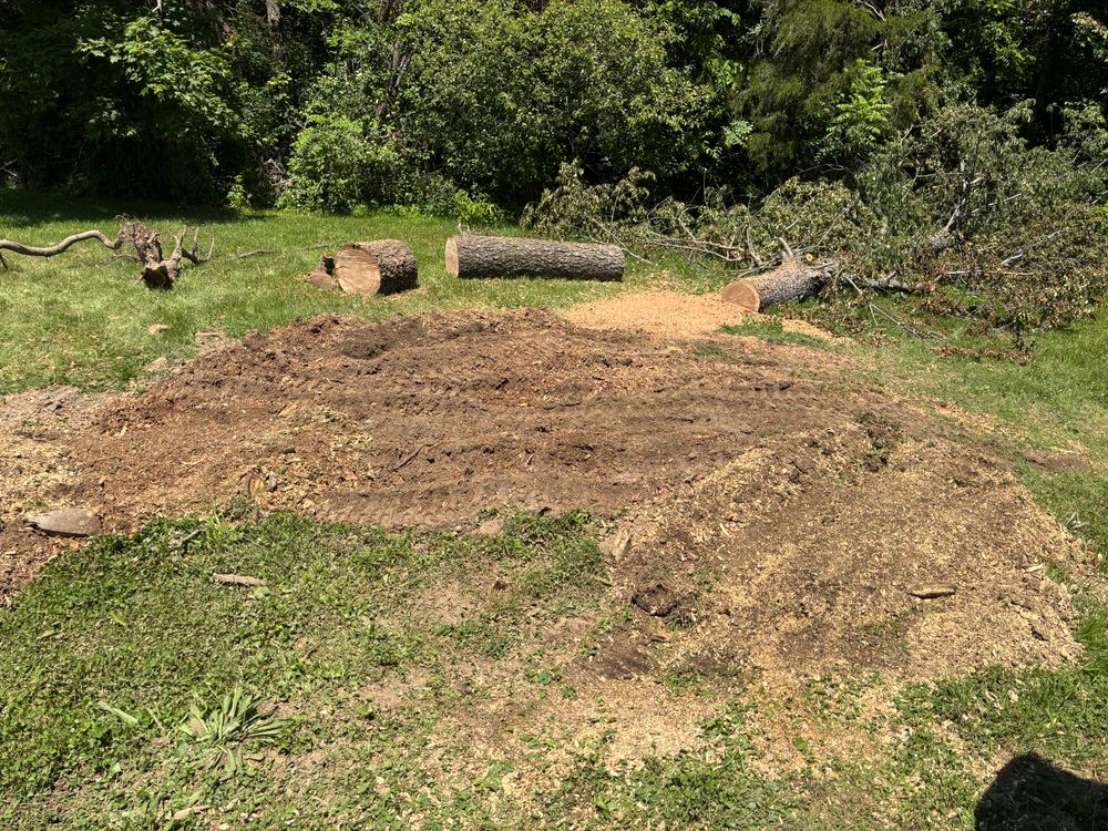 All Photos for Conrad's Stump Removal in Columbus, IN