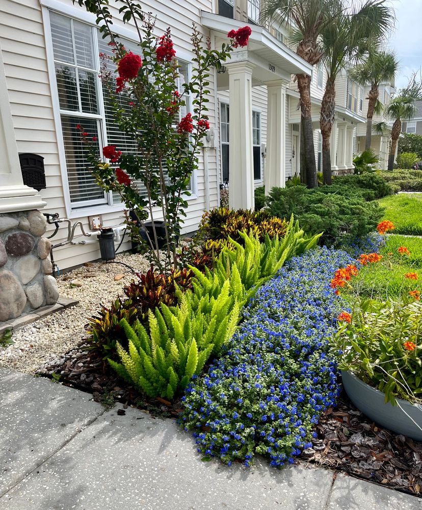 Landscape Design and Installation for Verimay's Garden and Landscaping in Hillsborough County, FL
