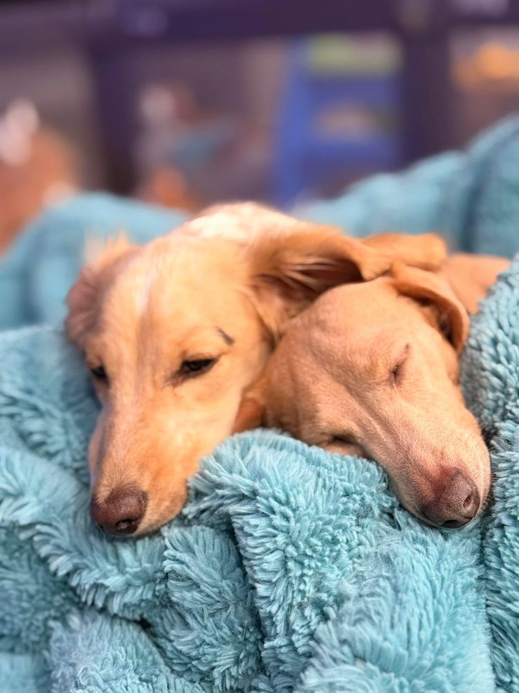 All Photos for Falls Property Services  in Idaho Falls, ID