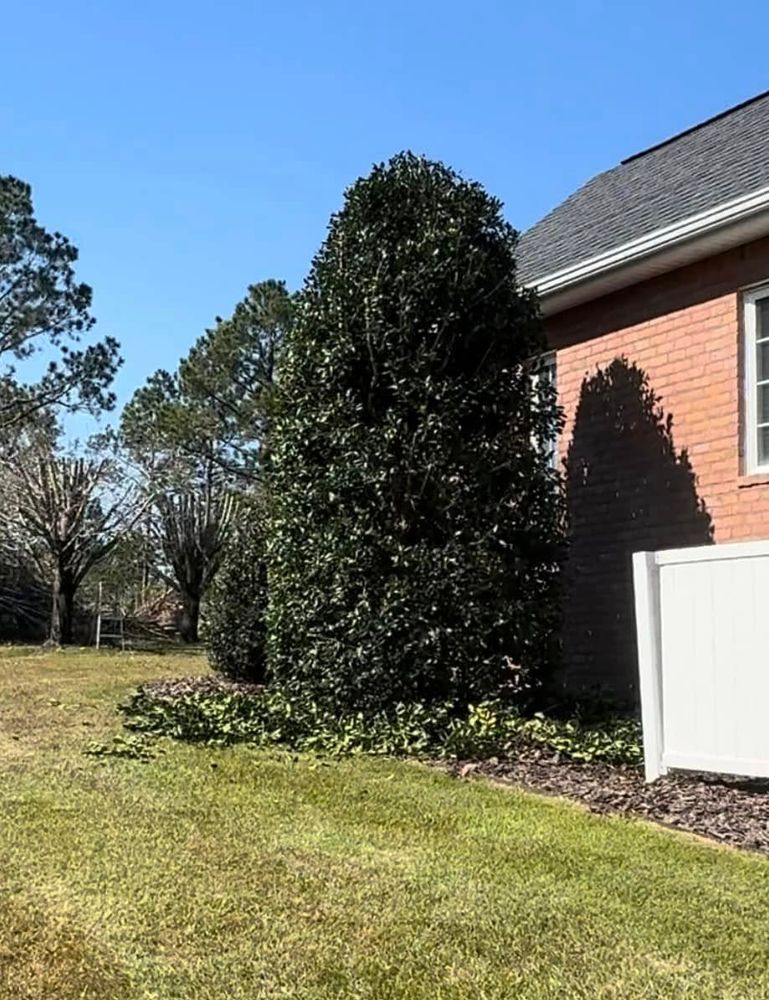 All Photos for Sierra Verde Landscaping in Vidalia, GA