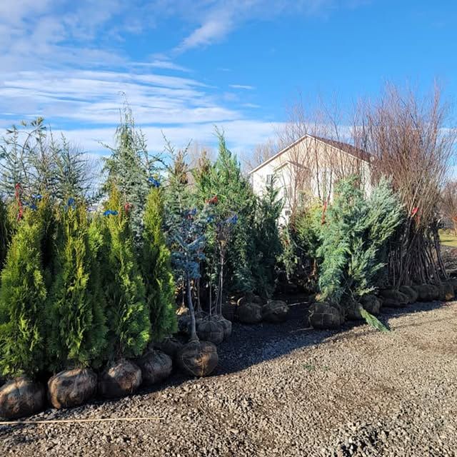 All Photos for Mike's Grading Plus in Caldwell, ID