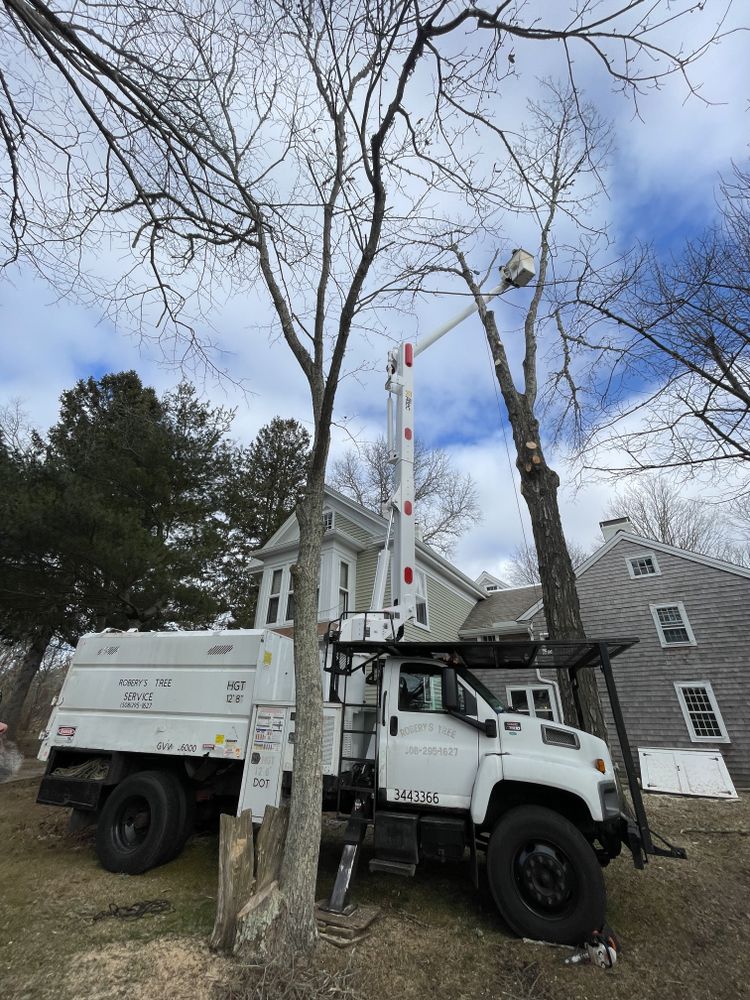 Tree Removal for Robery's Tree Service in West Wareham, MA