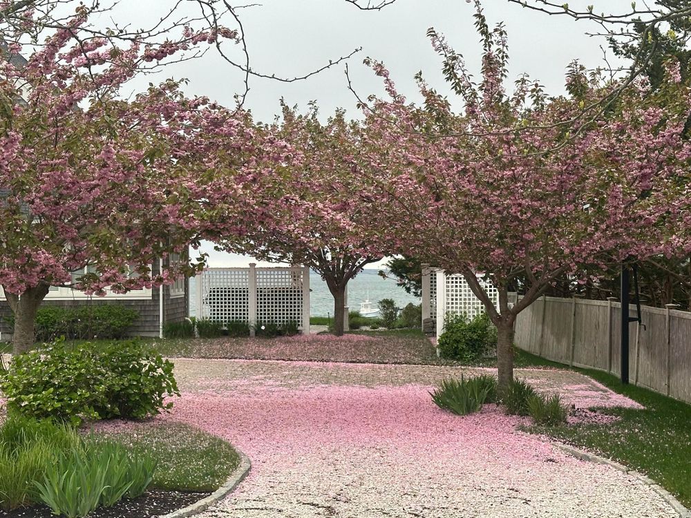 Landscaping for RB Coastal Services in Sandwich, MA