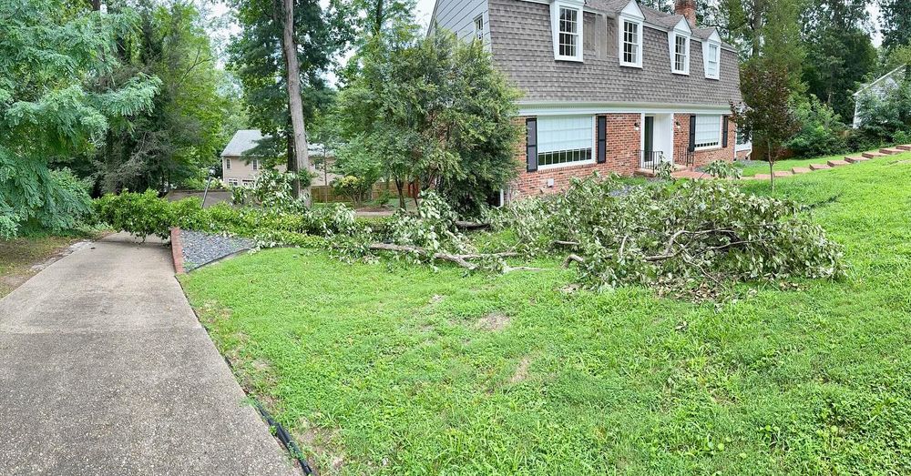 All Photos for Archer's Grounds Maintenance in Chesterfield, VA