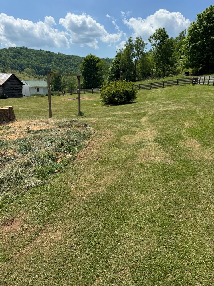 All Photos for Precision Cutz Tree Services, LLC in Coeburn, VA