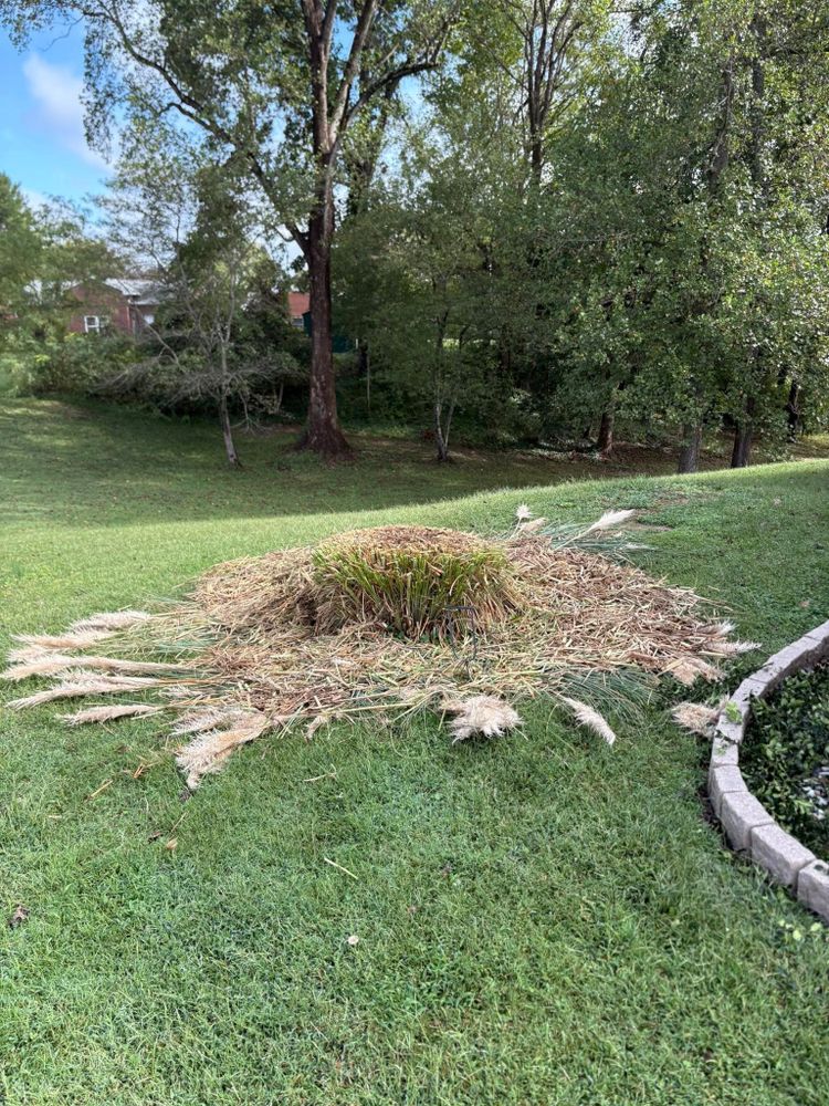 All Photos for Grassworks Lawn And Landscaping in Callao, VA