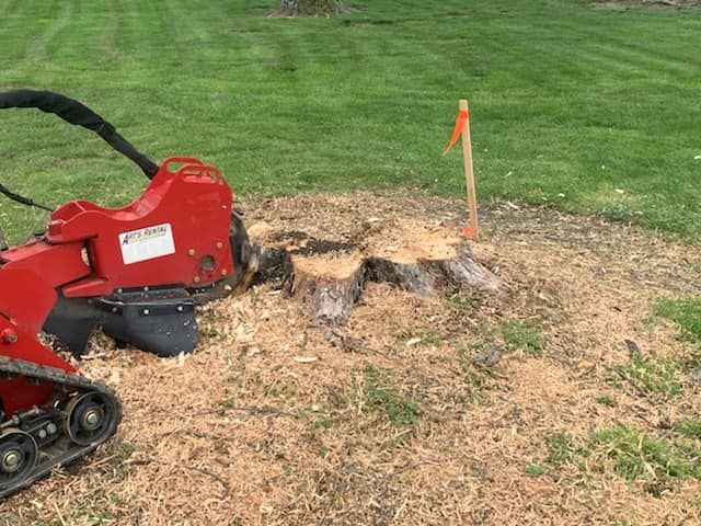 Our Stump Removal service efficiently and effectively eliminates tree stumps from your property, enhancing the aesthetic appeal of your landscape and preventing potential hazards or obstacles. for Kingdom Tree Trimming and Removal LLC in Covington, KY