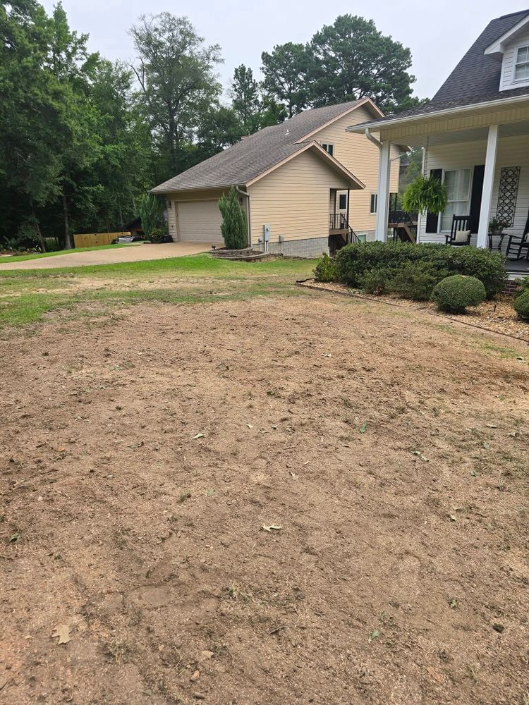 Tree Removal for Paquette's Tree Service in Malvern, AR