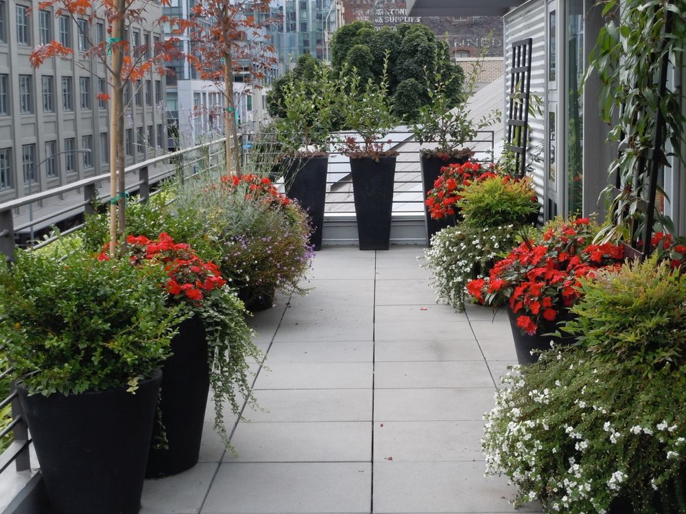 All Photos for Courtney Lewis Landscape Design in Portland, OR