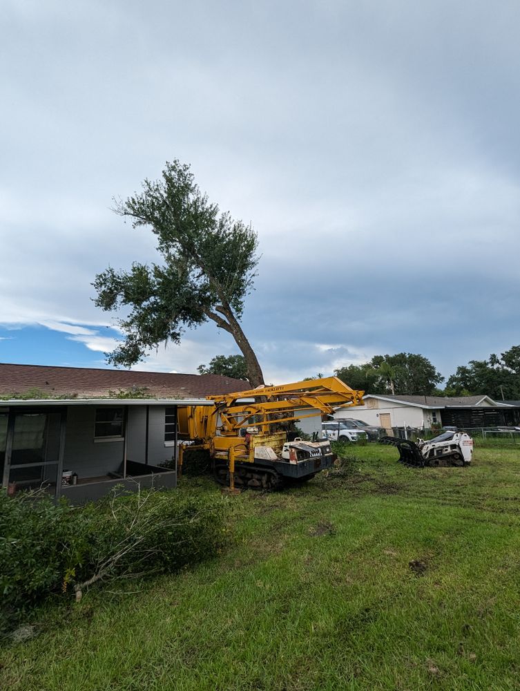 All Photos for Regal Tree Service and Stump Grinding in Wauchula, FL