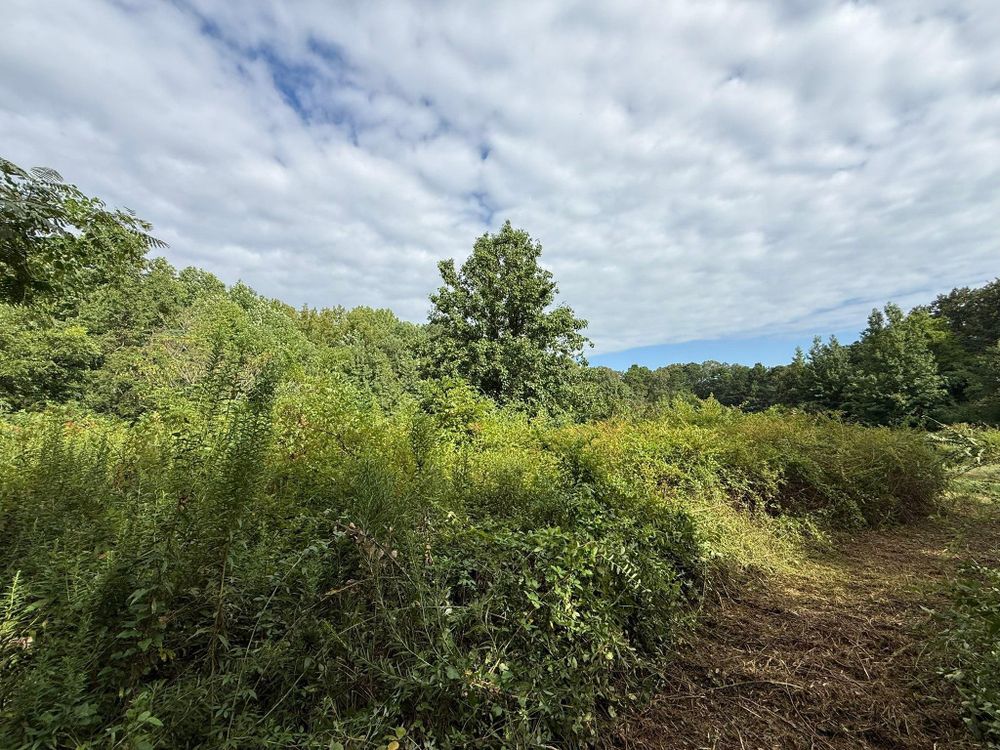 All Photos for Mud Creek Vegetation Management in Russellville, AL