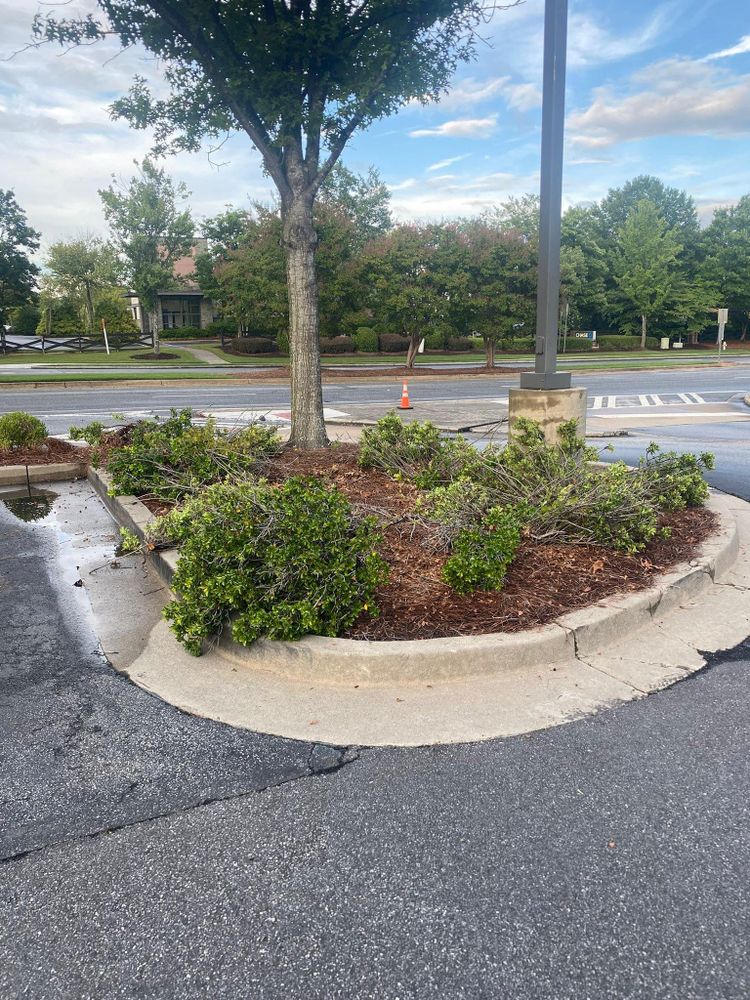 All Photos for Georgia Pro Scapes in Cumming, Georgia