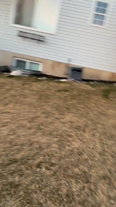 All Photos for Duncan Yard Services in Bountiful, UT