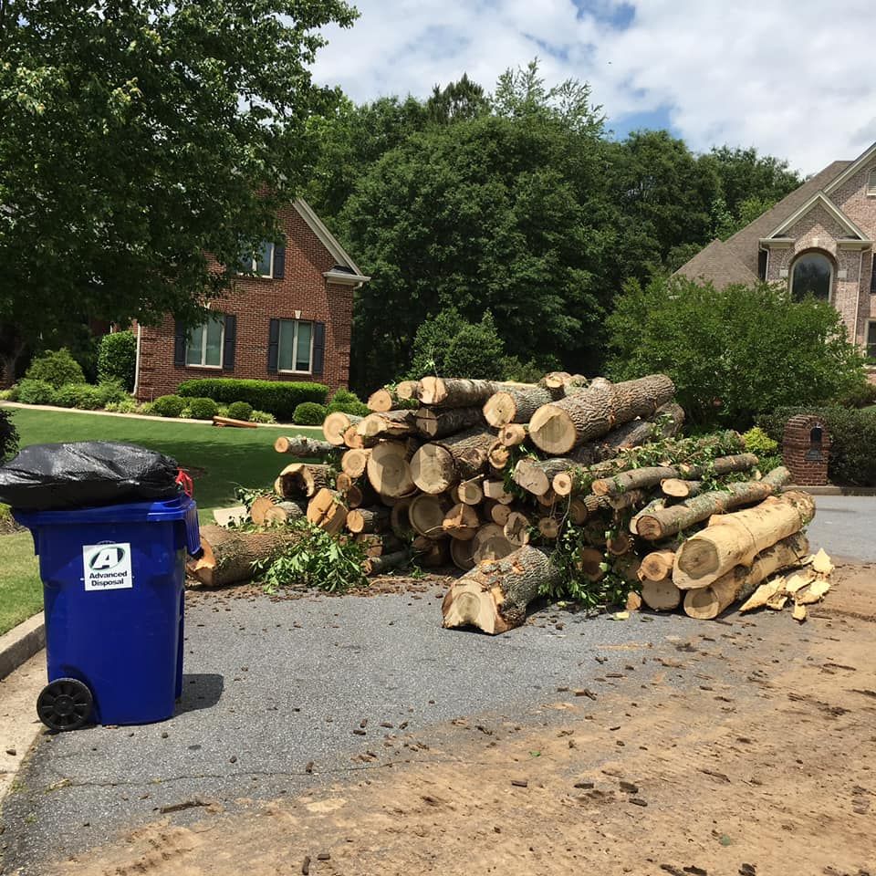 All Photos for Clear Tree Land Solutions in Dawson County, GA