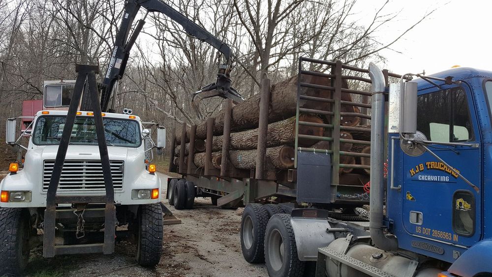 Logging for Bennett Logging in Gosport, Indiana